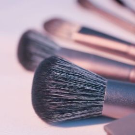 Makeup Brushes Set With Bag 8 Pcs Contour Blush Blending Eyeshadow Concealer Brow Brushes Ideal For Travel And Gifts Travel Friendly Perfect Gift (Option: 8Pcs)